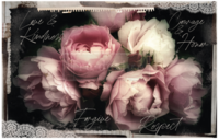 Redesign Decoupage Decor Pehmopaperi - Zara