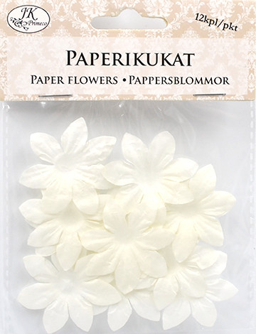 Paperikukka  valkoinen