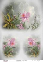 Fabrika Decoru; decoupage paperi