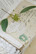 Jeanne d'Arc Living Lace flacon - hvid