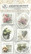 Ask.kuvio Harmonia B