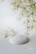 Warm Cream - 700mL