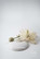 Antique Cream - 100ml