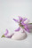 Baby Rose - 100ml