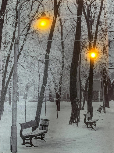 Led-taulu 30x40cm puisto katulyhdyt (ajastin)