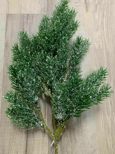 Havuoksa, Pinus