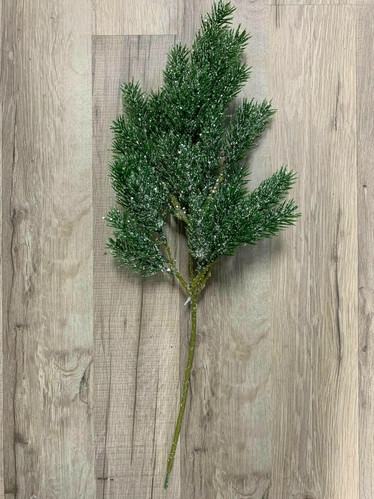 Havuoksa, Pinus