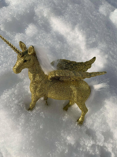 Yksisarvinen, Pegasus