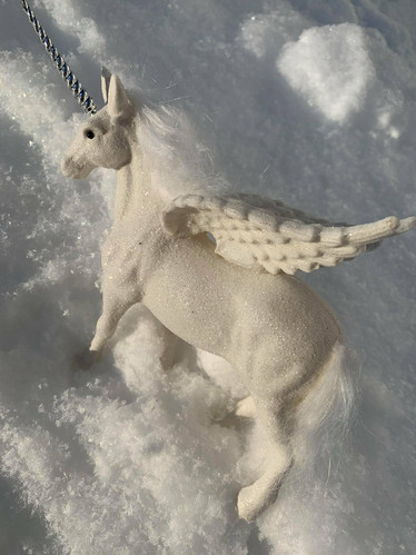 Yksisarvinen, Pegasus
