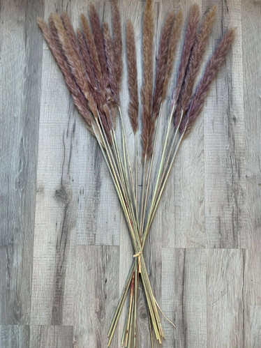 Pampaheinä (15kpl), natural, 70-80cm