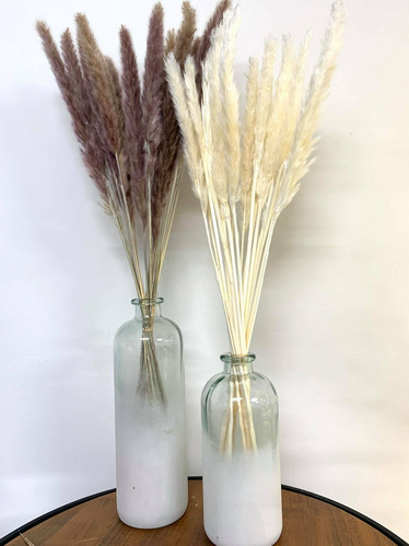 Pampaheinä (15kpl), natural, 70-80cm