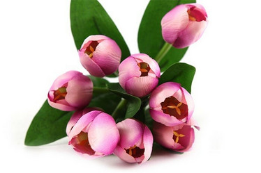 Tulppaanikimppu, pinkki