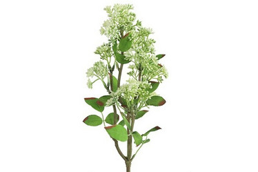 Prunus valkoinen 58cm