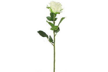 Ruusu valkoinen 70cm