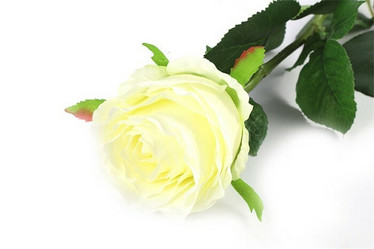 Ruusu valkoinen 70cm