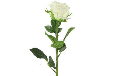 Ruusu valkoinen 70cm