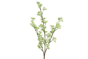 Prunus valkoinen 65cm