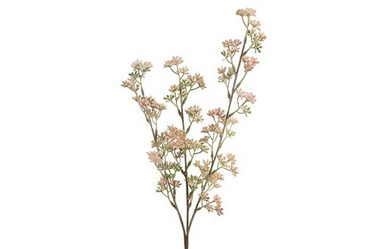 Prunus pinkki 65cm