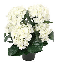 Tekokasvi hortensia valkoinen 37 cm