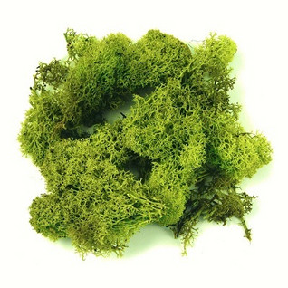 Islandmoss, 30 g