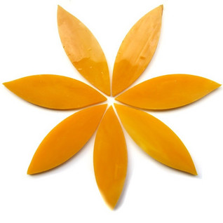 Isot terälehdet, Mango, 7 kpl