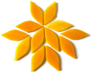 Pienet terälehdet, Mango, 12 kpl