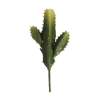 Columniform cactus, 11,5 x 6,5 cm