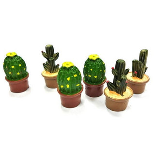Cactuses, assorted, 3 cm, 6pcs