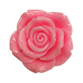 Rose, pink, L