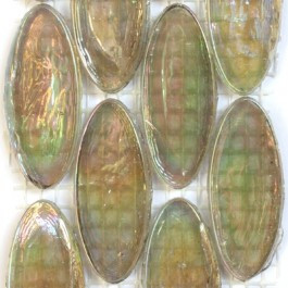 Ellips, Tibet, 6 st, transparent