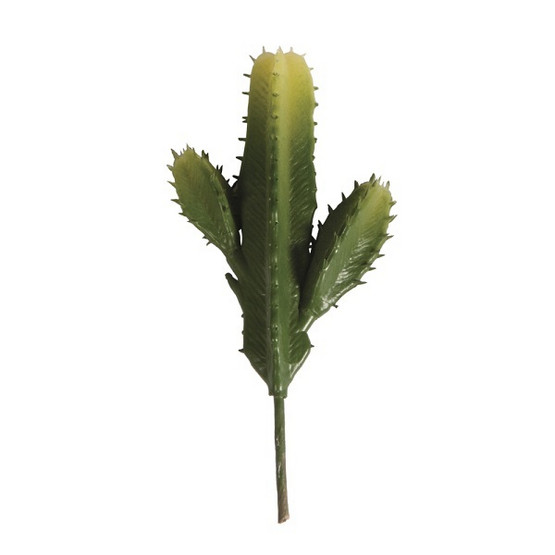 Pelarkaktus, 11,5 x 6,5 cm