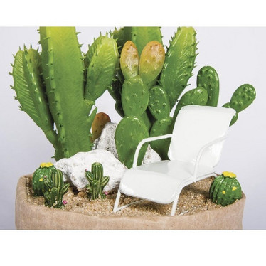 Kaktusar, blandade, 3 cm, 6 st