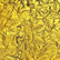 Van Gogh 5x10 cm, Gold Sparkle
