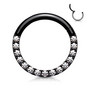 Lävistysrengas, High Quality Front Facing Hinged Rings with CZ/Black