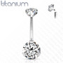 Napakoru,Titanium Prong Set Round CZ in Clear
