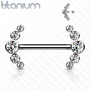 Nännikoru, Titanium Barbells with 5 Bezel Set CZ in Clear
