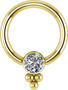 Lävistysrengas, Titanium Cluster with Crystals in Gold