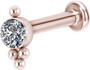 Rustokoru/traguskoru, 14-22K Rosegold Titanium Cluster Labret with CZ
