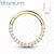 Lävistysrengas, Front Facing Titanium Hinged Hoop Ring with CZ in Gold