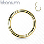 Lävistysrengas, Implant Grade Titanium Hinged Ring in Gold