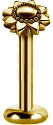PREMIUM COLLECTION|Boheemi kullanvärinen auringonkukka labret