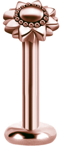PREMIUM COLLECTION|Boheemi ruusukullanvärinen auringonkukka labret