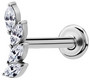 PREMIUM COLLECTION|Kaareva siipimäinen labret (hopea)