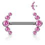 Nännikoru, Titanium Barbells with 5 Bezel Set CZ in Pink