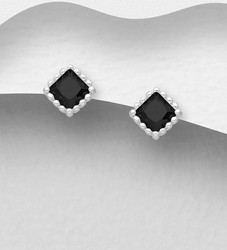 PREMIUM COLLECTION|Ilse -hopeiset mustat nappikorvakorut
