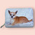 Lasten lompakko, Chihuahua