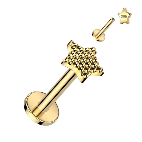Rustokoru/traguskoru, Diamond Cut Star in Gold -titaaninen labret