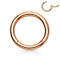 1,6mm lävistysrenkaat