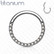 Lävistysrengas, Front Facing Titanium Hinged Hoop Rings with CZ