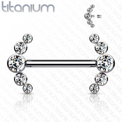 Nännikoru, Titanium Barbells with 5 Bezel Set CZ in Clear